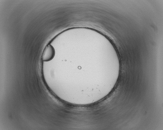 X0000111501517200908111235