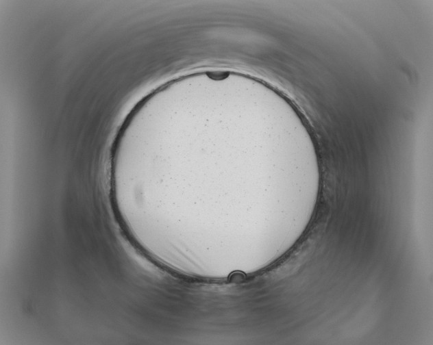 X0000111501519200908111235