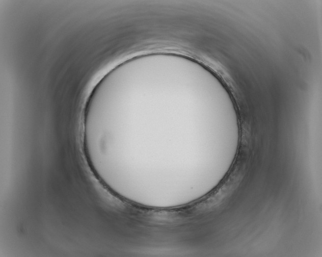 X0000111501520200908111235