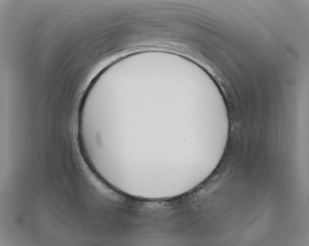 X0000111501523200908111235