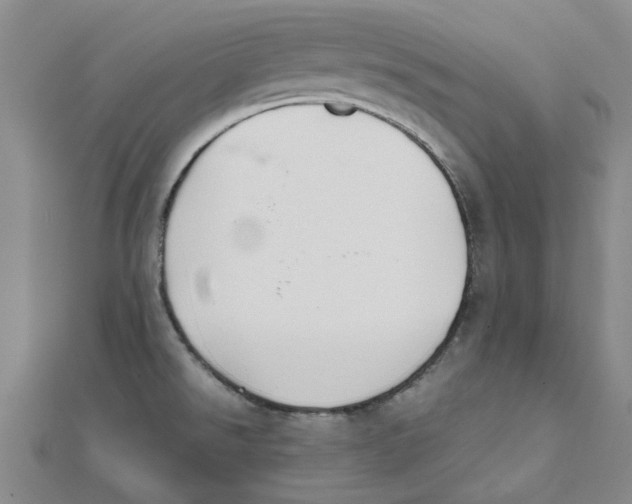 X0000111501526200908111235