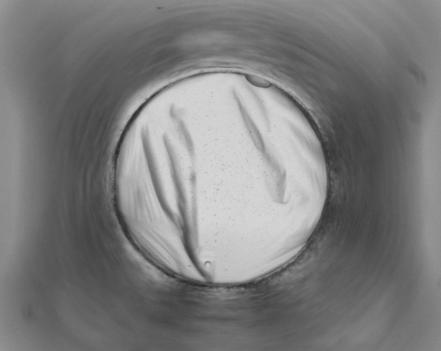 X0000111501527200908111235