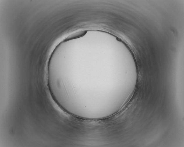 X0000111501528200908111235