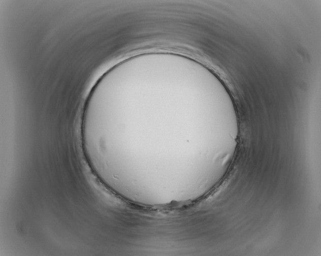 X0000111501530200908111235