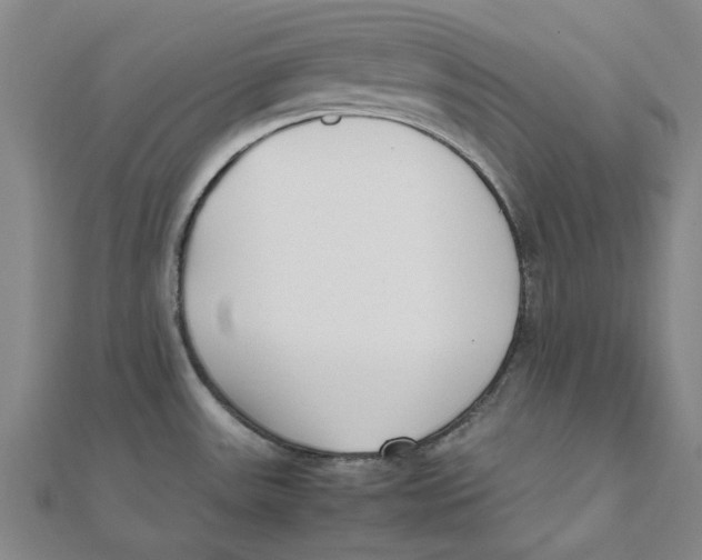 X0000111501531200908111235