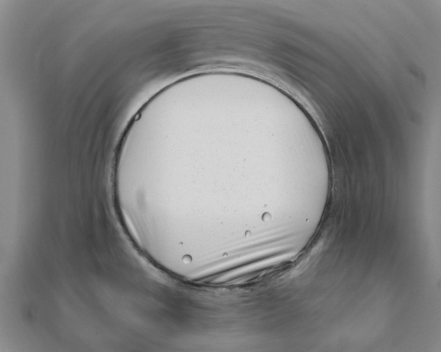 X0000111501533200908111235