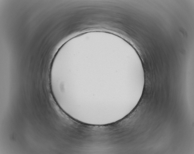 X0000111501534200908111235