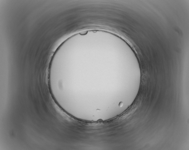 X0000111501535200908111235