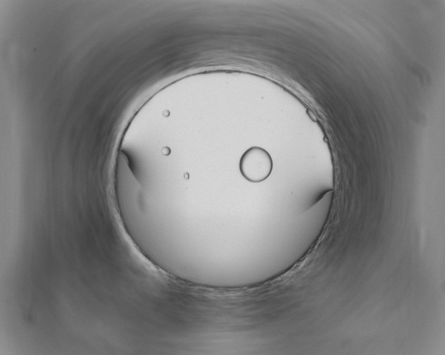 X0000111501536200908111235