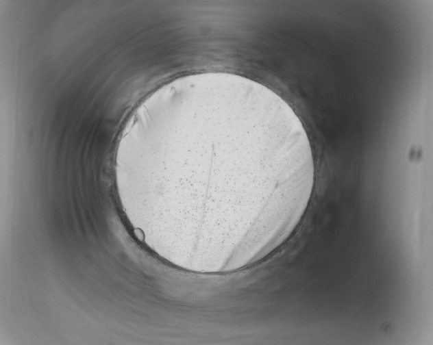 X0000111500002200908251100