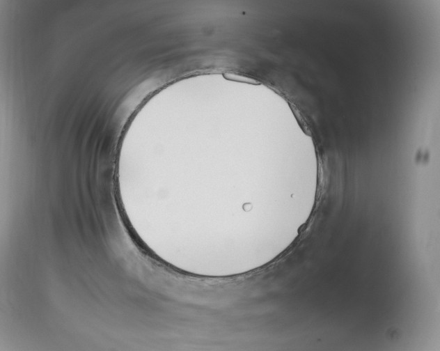 X0000111500003200908251100