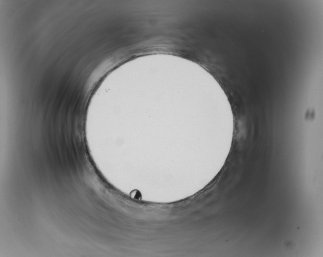 X0000111500004200908251100