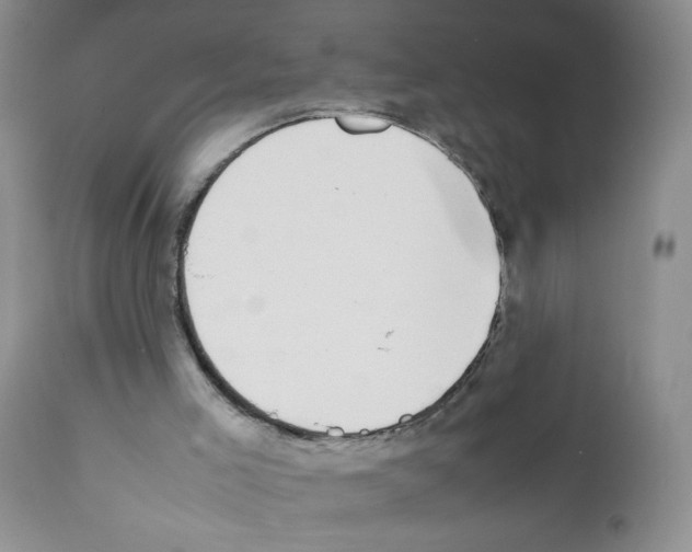 X0000111500005200908251100