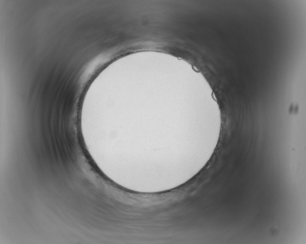 X0000111500006200908251100