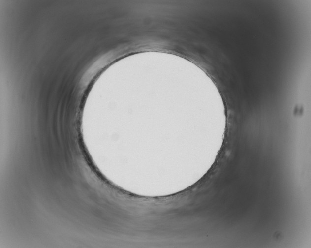 X0000111500007200908251100