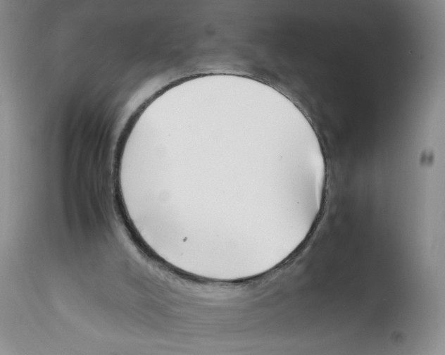 X0000111500008200908251100