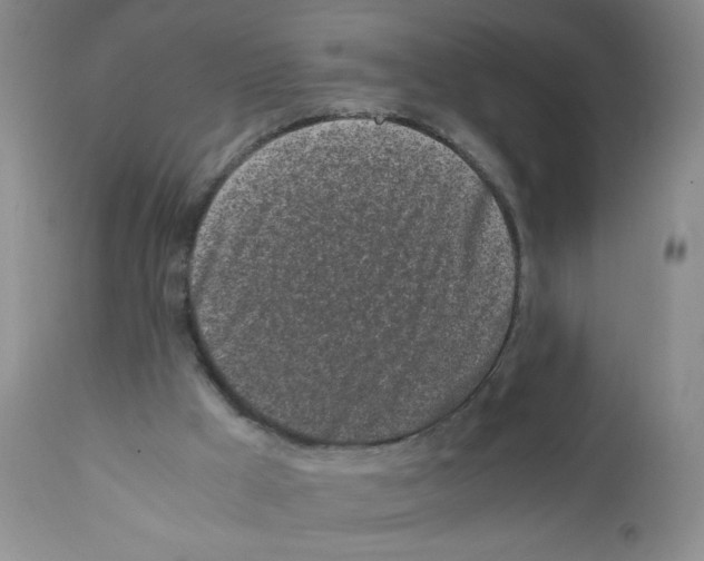 X0000111500009200908251100