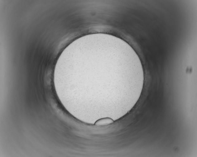 X0000111500010200908251100