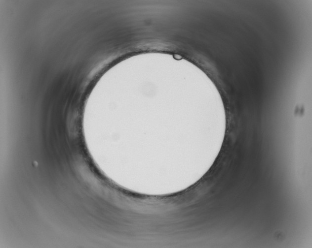 X0000111500012200908251100