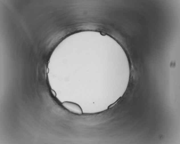 X0000111500013200908251100