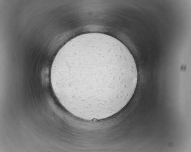 X0000111500014200908251100