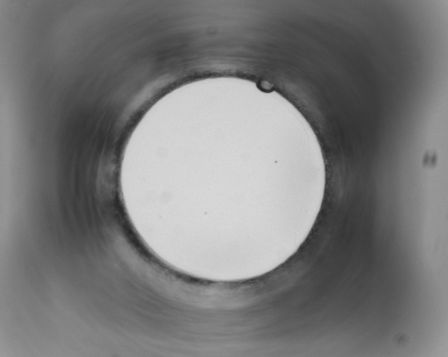 X0000111500016200908251100