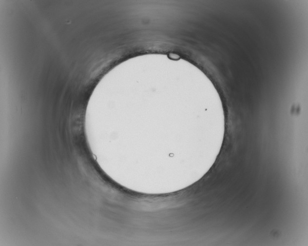 X0000111500017200908251100