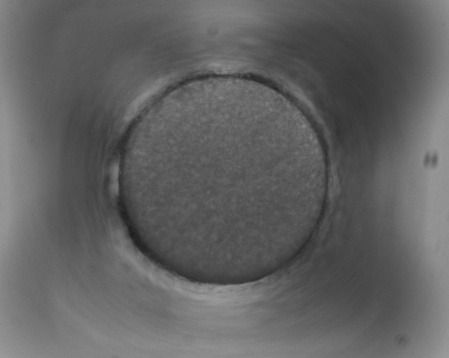 X0000111500019200908251100