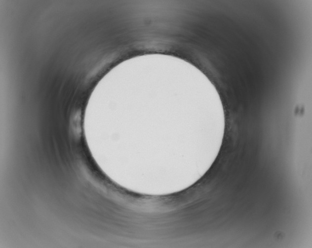 X0000111500020200908251100