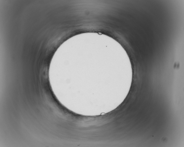 X0000111500021200908251100