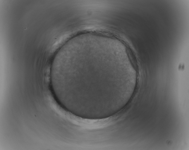 X0000111500023200908251100