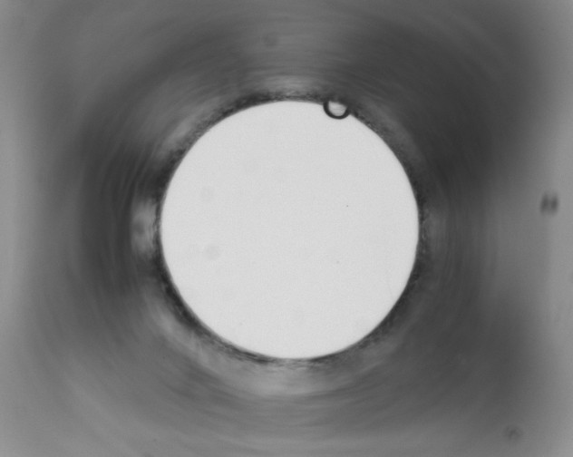 X0000111500024200908251100