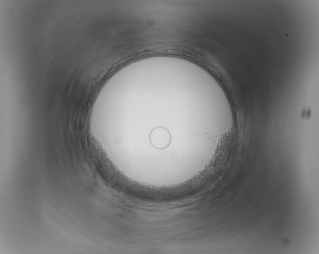 X0000111500025200908251100