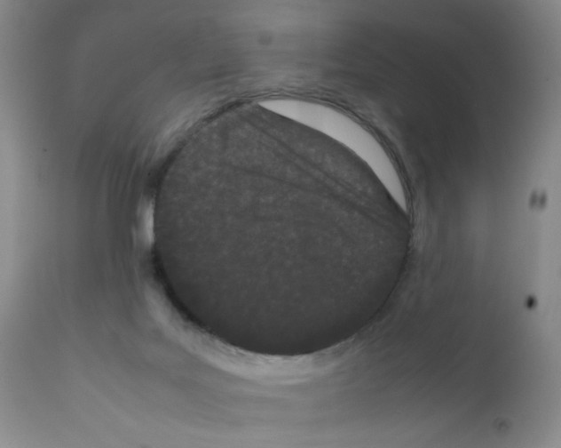 X0000111500027200908251100