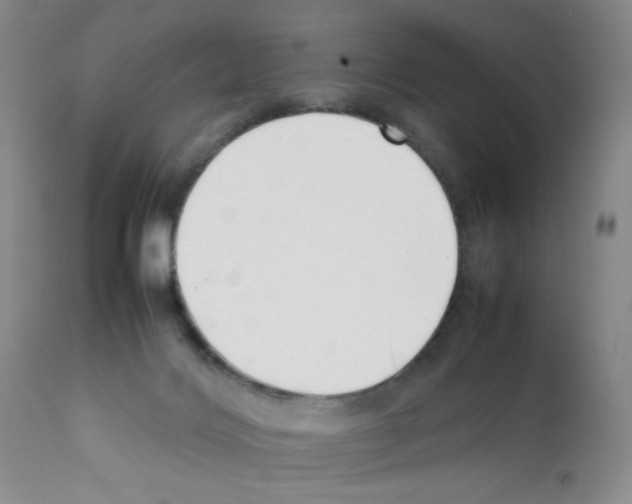 X0000111500028200908251100