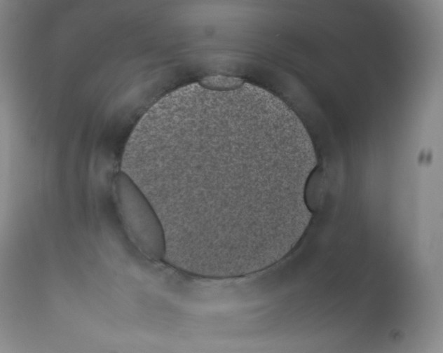 X0000111500029200908251100