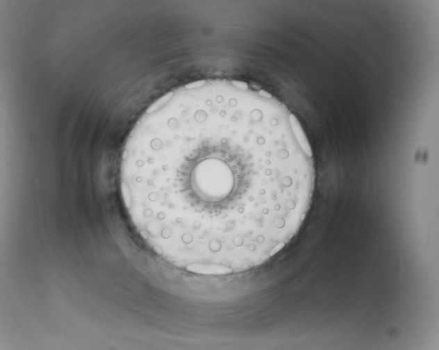 X0000111500030200908251100