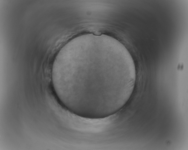 X0000111500031200908251100