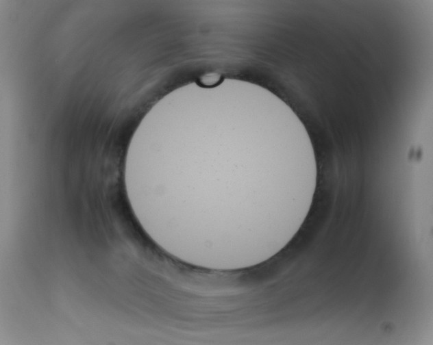 X0000111500032200908251100