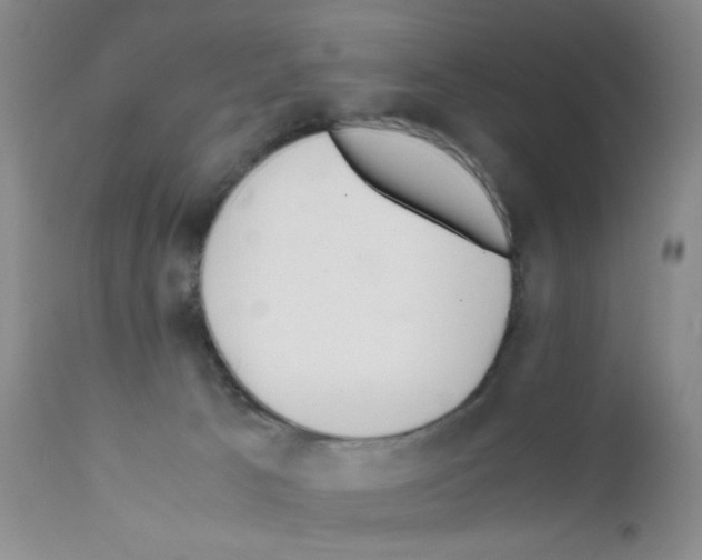 X0000111500033200908251100