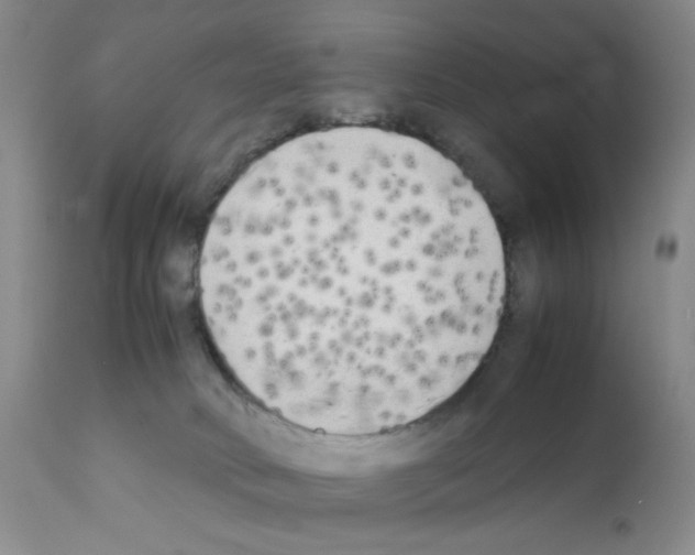 X0000111500034200908251100