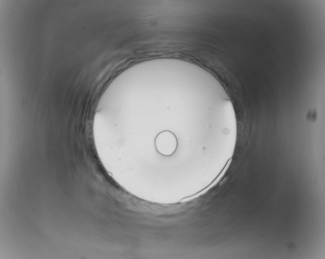 X0000111500035200908251100