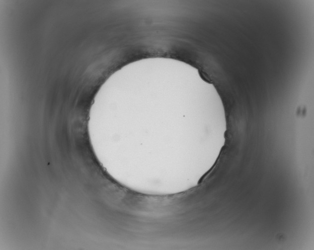 X0000111500037200908251100