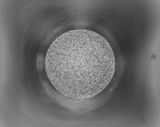 X0000111500038200908251100