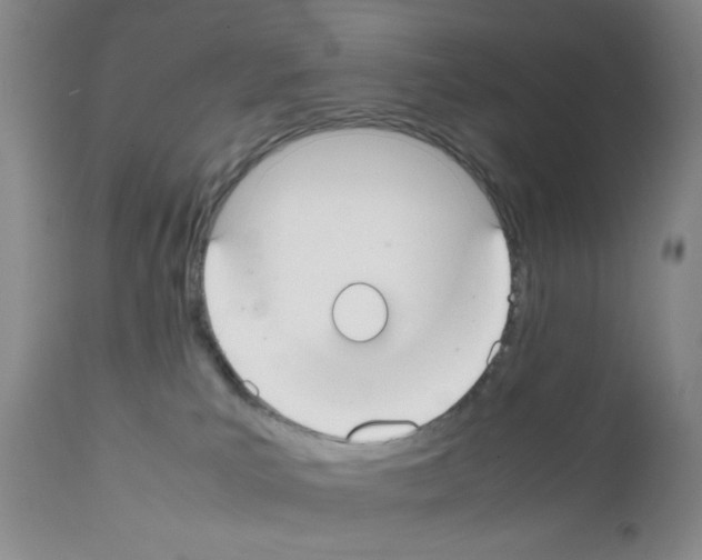 X0000111500039200908251100