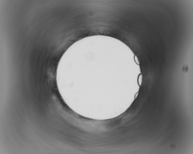 X0000111500040200908251100