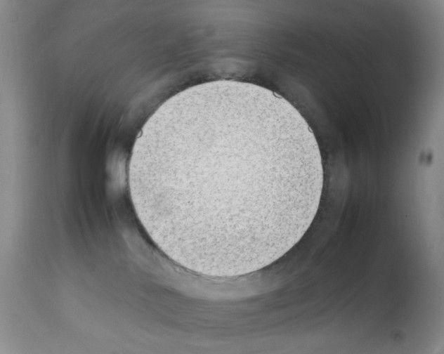 X0000111500042200908251100