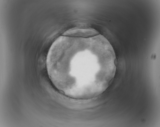 X0000111500043200908251100