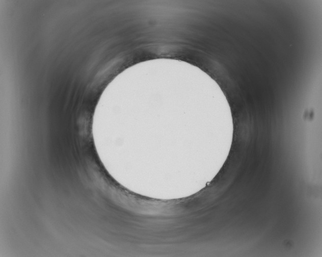 X0000111500044200908251100