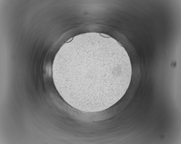 X0000111500046200908251100